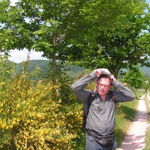 Bruno près des genêts
