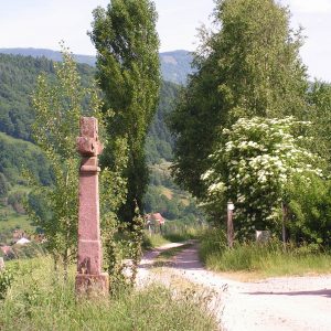 dans la montée Bassemberg-Breitenau