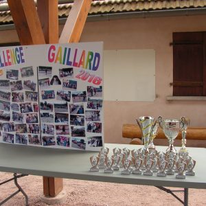 des trophées et coupes souvenirs