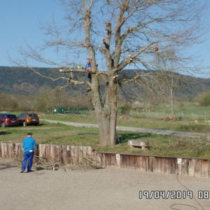 SAMSUNG CAMERA PICTURES