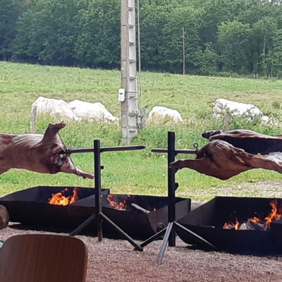 SANGLIERS à la Boule !               Juin 2019
