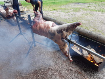 SOIREE SANGLIER à la Boule ! Juin 2019